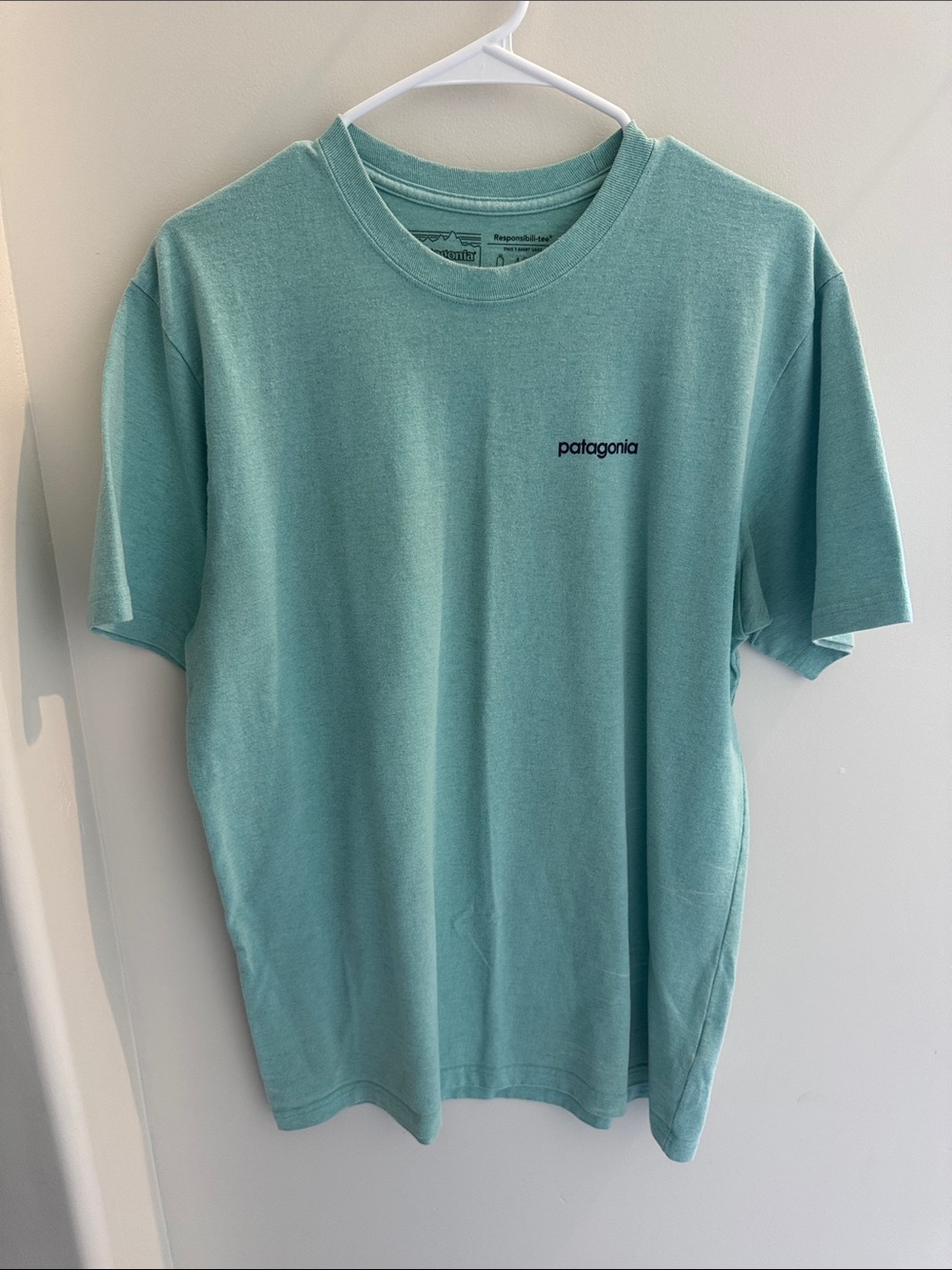 Patagonia Mint Green Small Logo Crew Tee